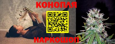 гидра Заволжье
