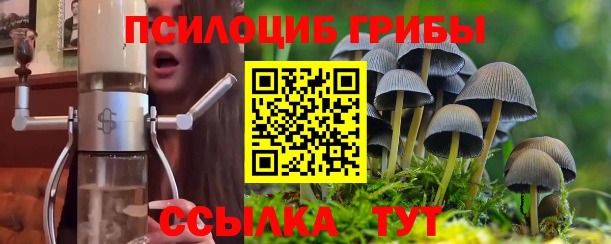 Галлюциногенные грибы MAGIC MUSHROOMS  Вход с VPN  Курчатов 